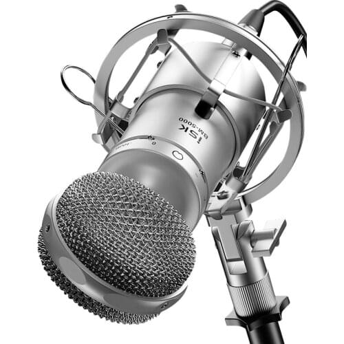 ISK BM-5000 Professional Condenser Microphone for Computer Recording Studio Performance Mic Shock