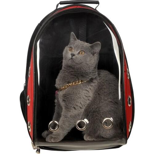 Transparent Cat Dog Carrying Bag Strong Breathable Air Dots Modern Backpack Pat Carrier Hiking Traveling
