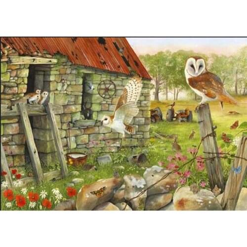 5d Diy diamond painting Rural landscape owl animals 3d full square diamond embroidery rhinestone painting diamond mosaic FG2059