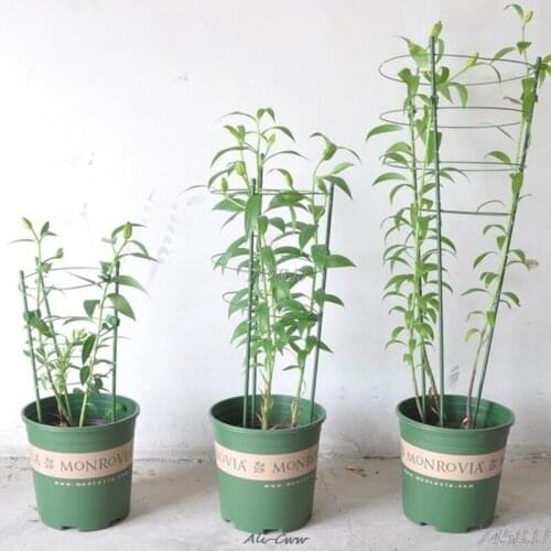 Garden Plant Support Climbing Plants 45cm 60cm Conical Trellis Supporter Frame