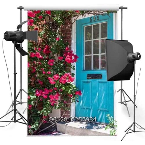 Peeling vintage Door wedding photo background advertisement vinyl photography backdrop F-2442