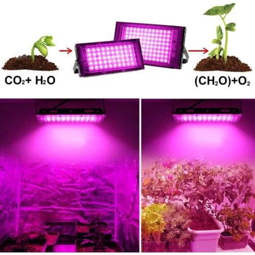 Full Spectrum LED Grow Light With Stand AC220V Phyto Lamp With On/Off Switch For Greenhouse Hydroponic Plant Growth Lighting