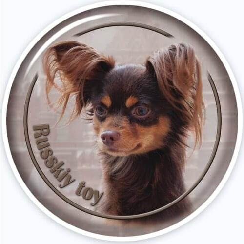 A0692# Various Sizes Removable Decal Russkiy Toy 88 Sticker Waterproof Accessories on Bumper Rear Window Laptop