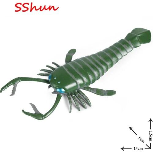 14*6*1.5cm childrens cognitive solid static simulation animal toy ancient marine animal model Cambrian plate foot horseshoe
