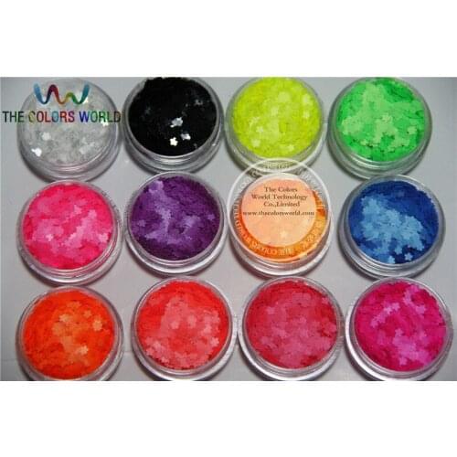 TCT-147 Flower Neon Matte Colors 3MM Solvent Resistant Glitter Nail Art Nail Gel Nail Polish Makeup Manual DIY Crafts Decoration