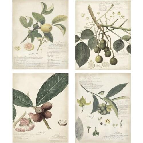 Vintage Descube Botanical art wall decor prints 4 in 1 unframed floral art poster