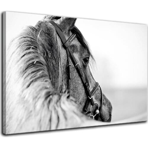 Wall Art Black and White Horse Animal Canvas Painting Home Decor Wall Pictures Print for Living Room Drop shipping