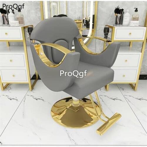 Prodgf 1Pcs A Set ins European Series Salon Chair