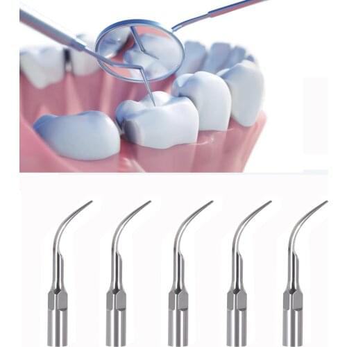 1pc Dental Scaler Tips For EMS Woodpecker Ultrasonic Scaler Handpiece Dental Ultrasonic Scaler Scaling Tip