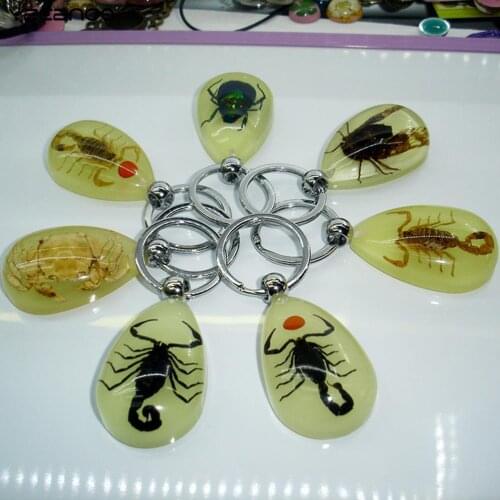 1pc New Insect Jewelry Taxidermy Gift Scorpion Glow Lucite Keyring Keychain Wholesale