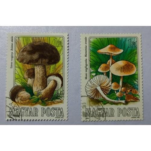 2PCS Hungarian fungi H13 ， Post Stamps Postage Collection