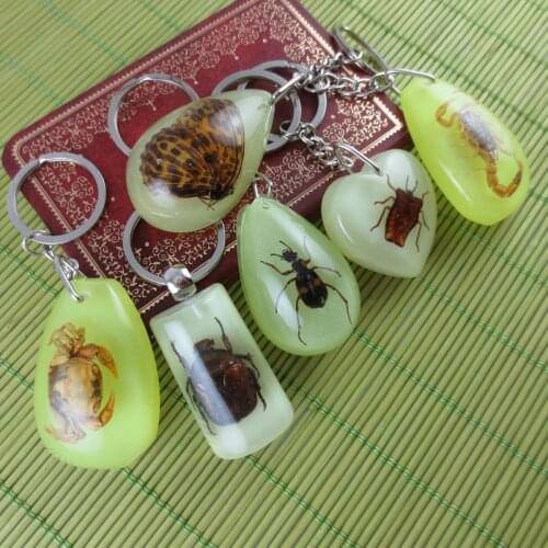 Real insect seafood animal luminous charm keychain key ring punk fashion jewelry for men personality key chains