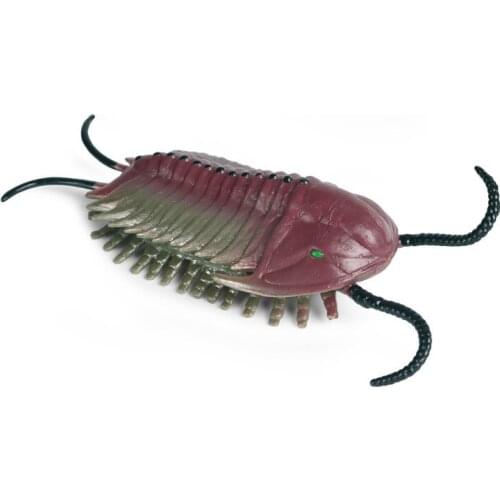 Trilobites Animal Model Action Figure Wild Animal PVC Children Cognitive Toys