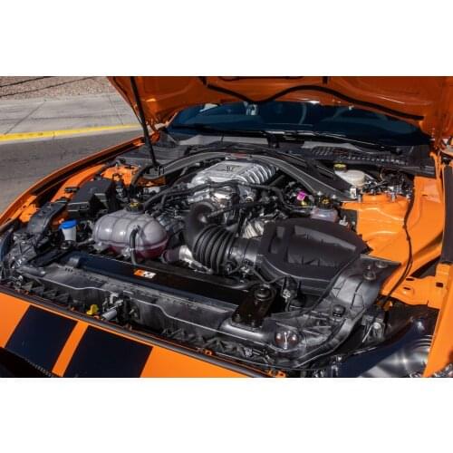 Hood Damper for Ford Mustang Shelby GT500 2020- Gas Strut Lift Support Front Bonnet Modify Gas Springs Shock Absorber