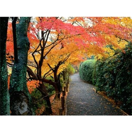 Modern Art Diy Diamond Painting Resin Whole Square Diamond Embroidery Autumn Maple Leaf Home Decoration Needlework 5951R