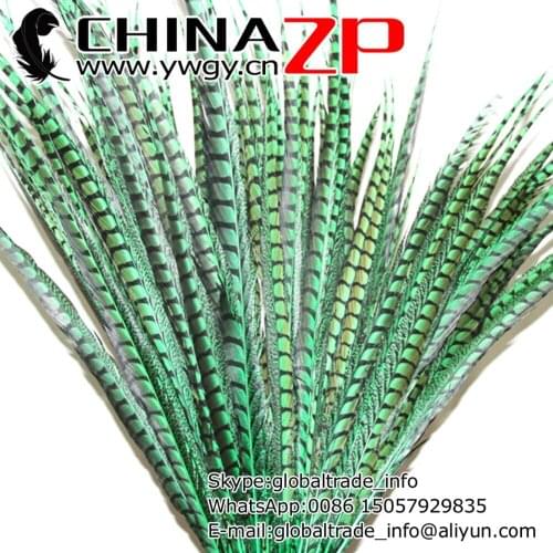CHINAZP Factory 50pcs/lot Size from 30~35inch (75~87cm) Top Quality Dyed Green Long Lady Amherst Pheasant Tail Feathers