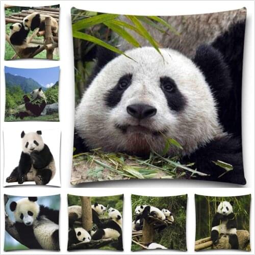 Cotton Polyester for Sofa Car Cotton Cushion Cover Creative Decoration 5 size Lovely Decorative Throw Pillows Case