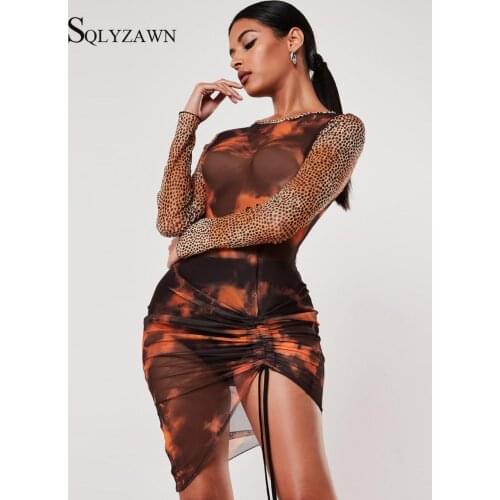 Women Transparent Dress Sexy Mesh Material Print Slim Skinny Bodycon Dresses Spring Long Sleeve Female Fashion Skinny Outfits