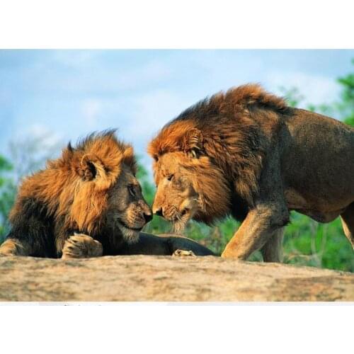 Mother child diamond painting leopard animal embroidery mosaic diamond dotz 5d rhinestone picture puzzle toy drawing wall decor