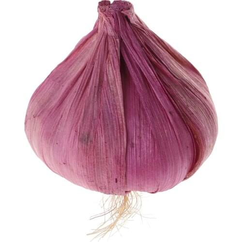 2018 New Lifelike Artificial Fake Garlic Vegetables Model Party Home Kitchen Decor Kids Props Toy Nov-6A