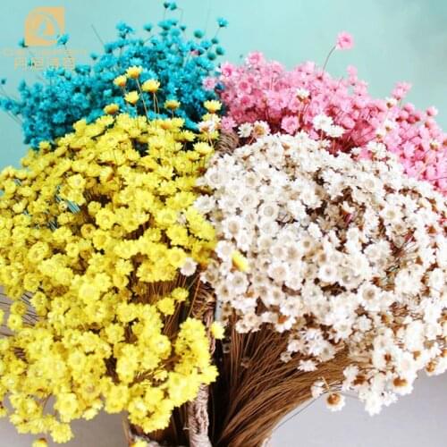 200pcs Denisfen Lovely Mini Daisy Decorative Dried Flowers Small Star Flower Natural Floral for Wedding Home Decoration Flores