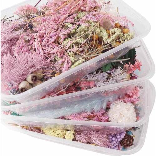 1Box Practical Dried Flowers Dry Plant for Aromatherapy Candle Epoxy Resin Pendant Necklace Jewelry Making Craft DIY Accessories