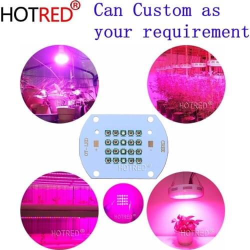 30W50W60W Plant Grow LED light Cree XPE Led Emitter Light 660nm red 450NM Royal Blue for indoor garden Fruit Growing Seeding