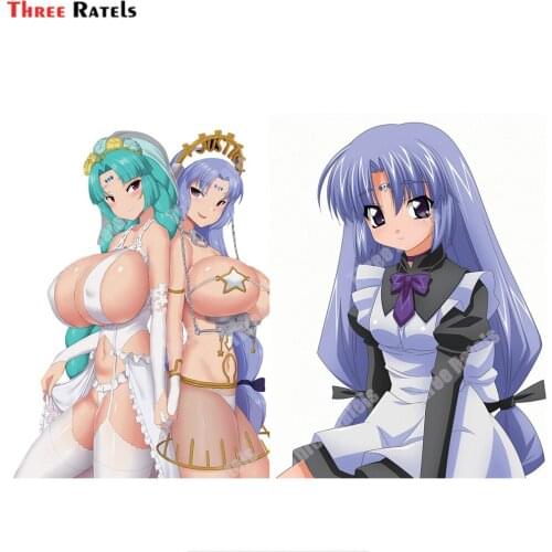 Three Ratels D129 Canal and Reverie Vorfeed Lost Universe Stickers And Decals Anti Scratch Film Vinyl Material