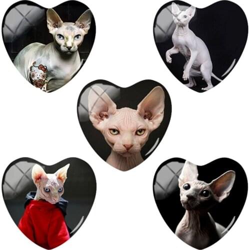 TAFREE New Fashion Heart Shaped 25mm Sphinx Cats DIY Flat Back Glass Jewelry Accessories For Animal Lovers Making Things CA171