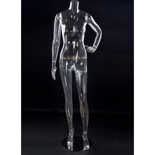 High Quality New Arrival Transparent Female Mannequin Female Model Hot Sale