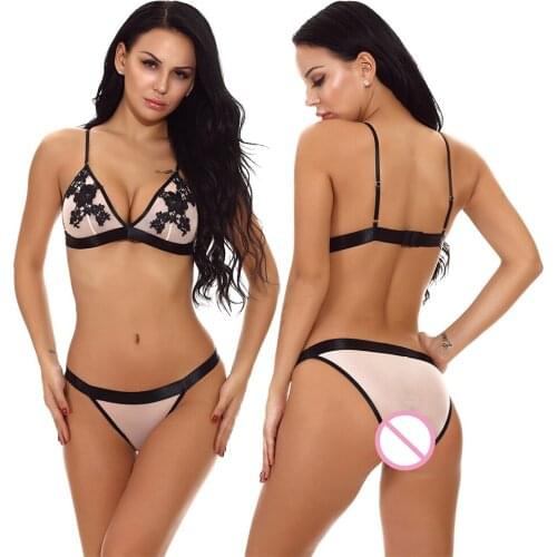 Plus Size Sexy Ultra-thin Lingerie Lace Bra Set Women Embroidery Deep V Push Up Bra Underwear Set Sexy Erotic Lingerie For Women