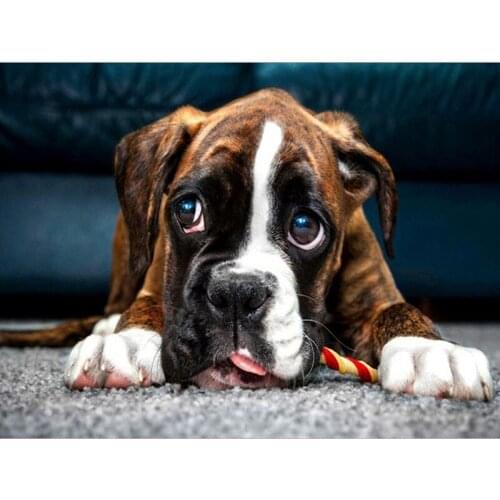 Diamond Embroidery dog Handmade Diamond Painting Needlework Mosaic Cross Stitch Home Decor