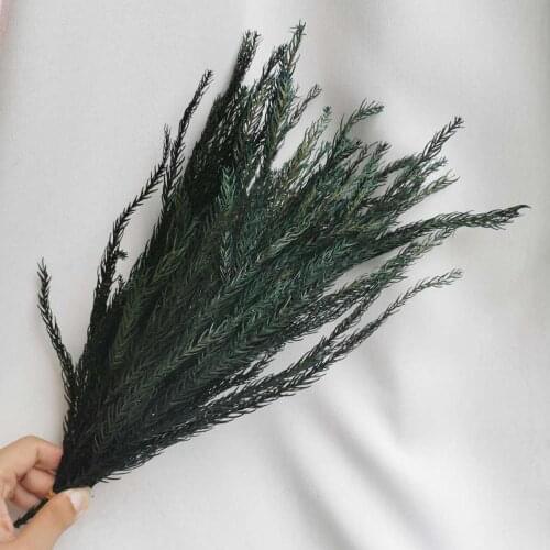 50g/lot,Natural Preserved real Pine Leaves Bouquet,Eternal Display Flower For Wedding chrismas Home Decoration accessories