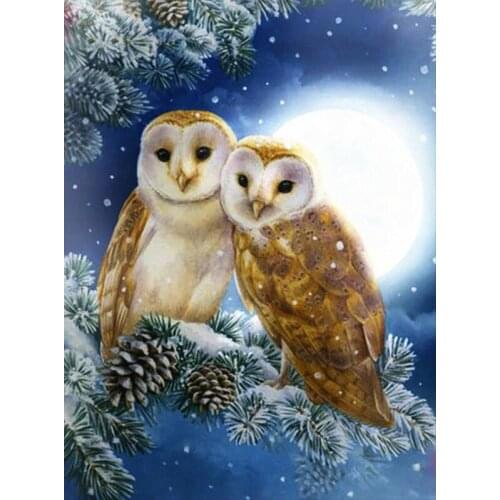 5D Diamond Painting Owl Full Square Diamond Embroidery Animals Cross Stitch Mosaic Rhinestone Crafts Kit Home Decor