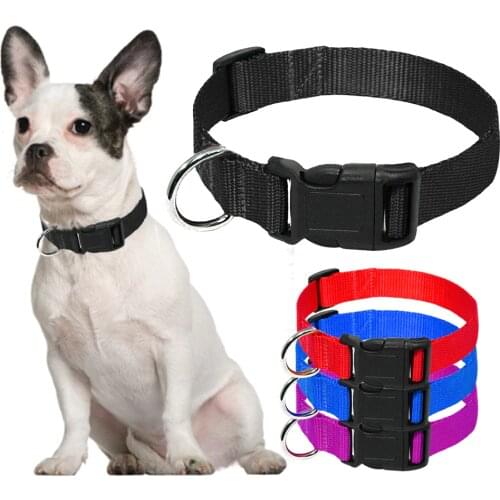 Durable Nylon Dog Collar Adjustable Pet dog Collars Pet Puppy Necklace for Small Medium Large Breeds Basic Collar Size XS S M L