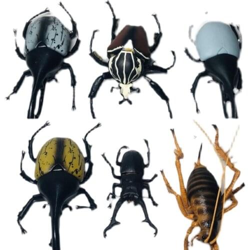 Insect Bandai Coleoptera Model PVC Funny Toys Peripherals Emulation Finished Goods Scary Spoof Toy