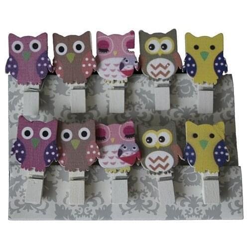 Pandoli 10'lu Colorful Owl Latch Ornaments party material