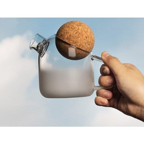 Simple Glass Frosted Kettle High Temperature Resistant Glass Office Personalized Fruit Teapot