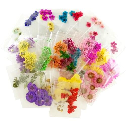 20packs A_Grade Real Flower Dried Flower Assorted Styles Pressed Real Flower 120pcs Nail Art Natural Dry Flower