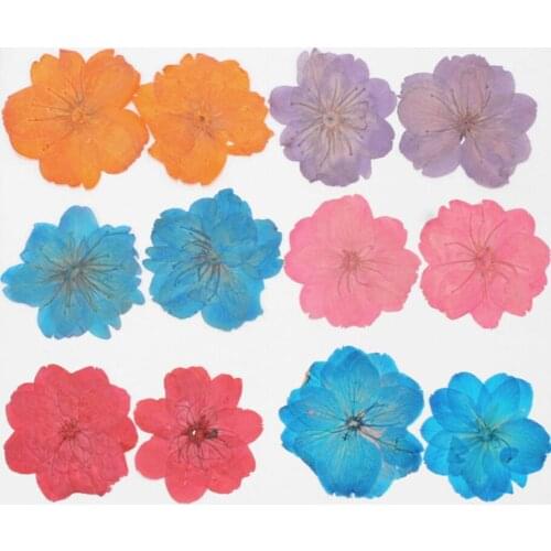 250pcs 30-35mm Cherry blossoms Pressed Dried Flower Filler For Epoxy Resin Jewelry Making Postcard Frame Phone Case Craft DIY