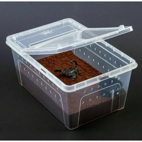 S/M/LPlastic Reptile Living Box Terrarium Transparent Reptiles Insect Container Transport Amphibians Breeding Food Feeding Box