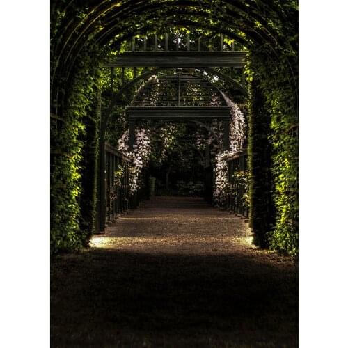 Dark Green Scenic Long Corridor Vinyl Cloth Photography Backgrounds Portrait Photographic Backdrops Photo Studio Photobooth