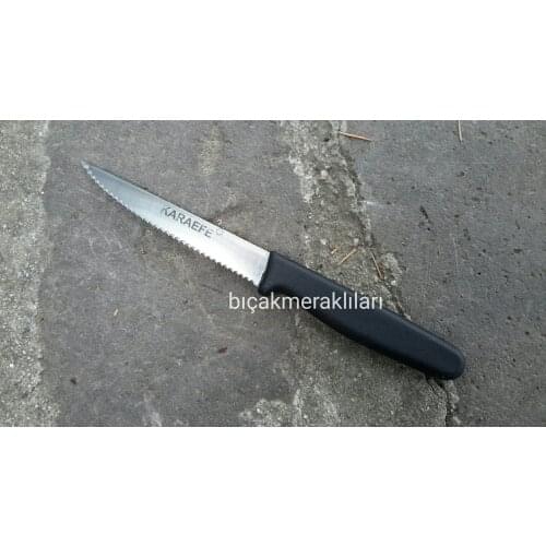 Vegetable, Fruit or Bread Knife 21.5cm Overall Length