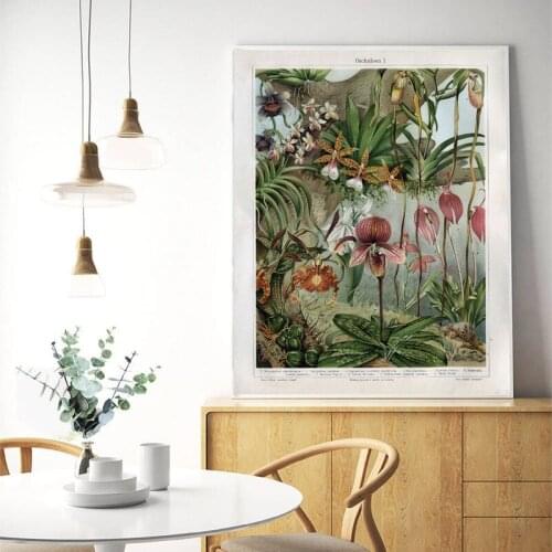 Orchids Late 1800s Botanical Poster Canvas Prints Snapdragon Antique Flowers Plants Wall Art Painting Picture Home Room Decor