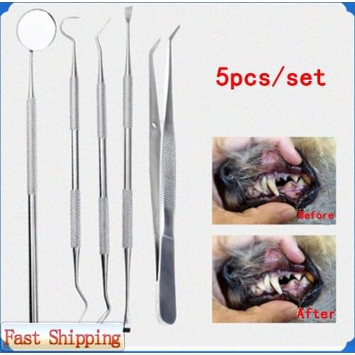 5PCS Pets Teeth Cleaning Scaler Tools Cats Dogs Tartar Remover Dental Stones Oral Stainless Steel Care Kit Scraper Pet Supplies