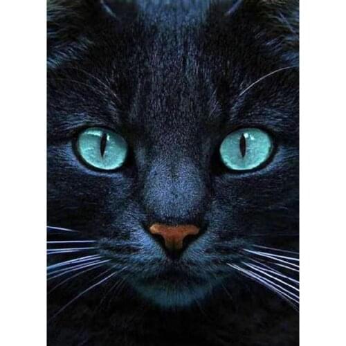 5D DIY Diamond Paintings Full Drill Round Green-eyed Long Beard Cat Mosaic Embroidery Animals Pattern Handmade Decoration Home