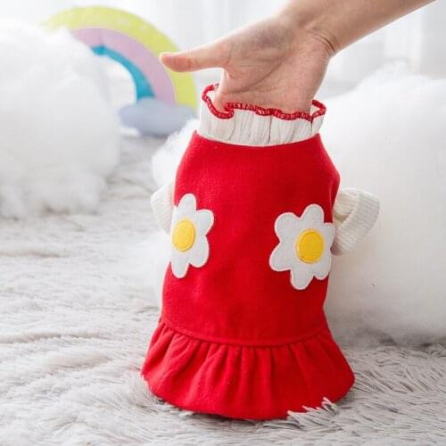 Dog Clothes for Small Dogs New Autumn and Winter Models Dog Cat Princess Dress Two-piece Flower Skirt Small Dog Pet Clothes