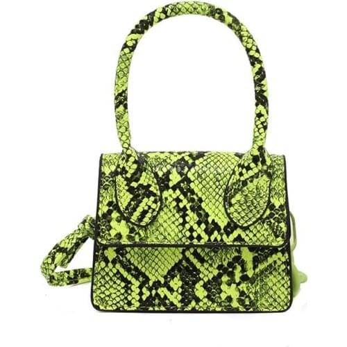 Mini Women Purse New Tote Bags For Women 2020 Serpentine Purses And Handbags Luxury Designer Shoulder Bag Fashion Crossbody Bag