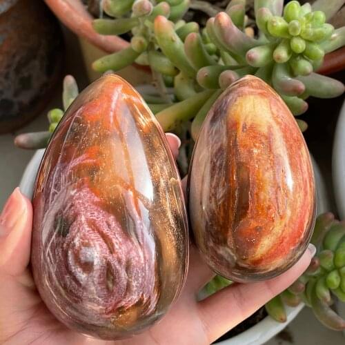 Natural Petrified Wood Quartz Mineral Crystals Gemstones Egg Reiki Healing Fine Home Decoration