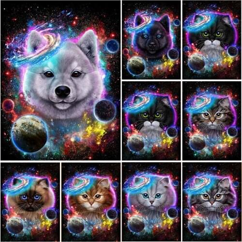 Diamond Painting Cat in Galaxy 5D DIY Full Diamond Embroidery Dog Animal Mosaic Picture Home Decoration Art Cross Stitch Kits